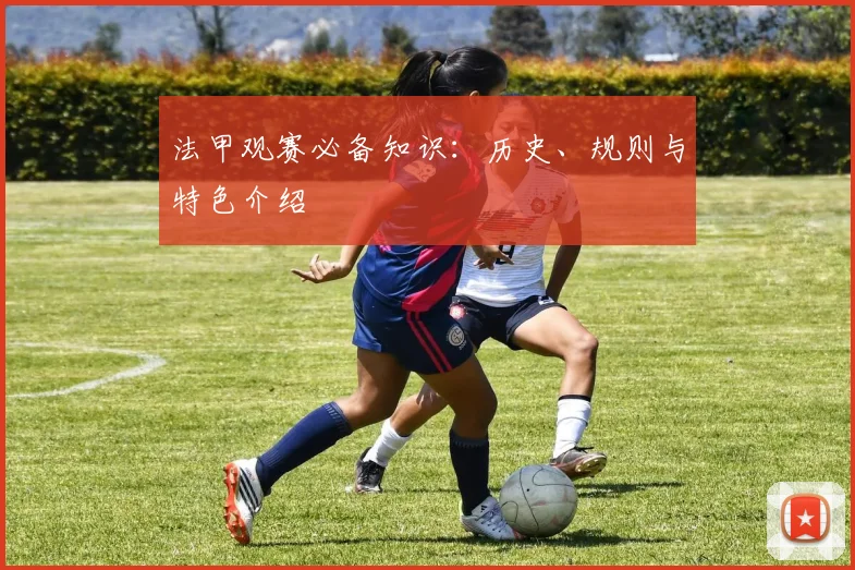 法甲观赛必备知识：历史、规则与特色介绍