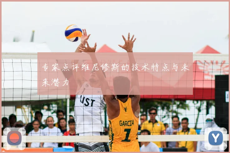 专家点评维尼修斯的技术特点与未来潜力